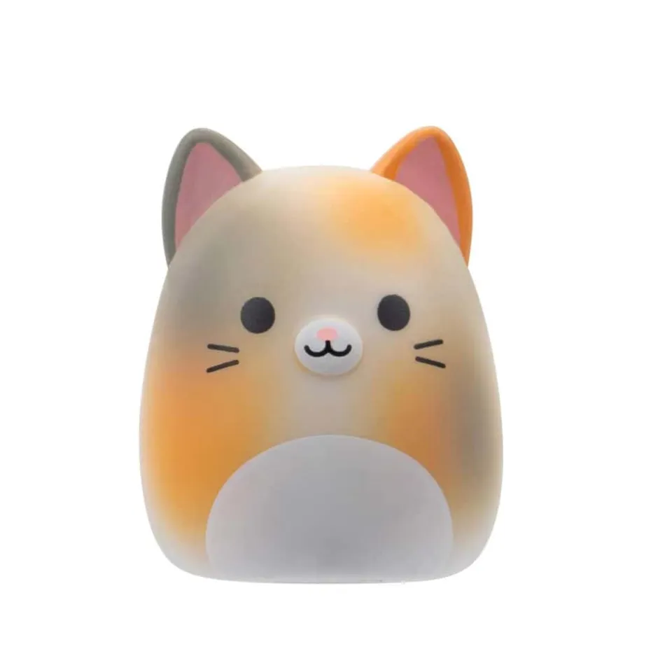 Squishmallows® Squishalongs 2pk