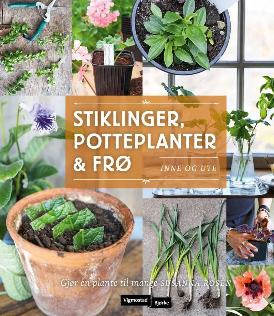 Stiklinger, potteplanter og frø - inne og ute