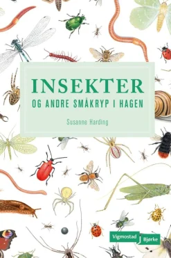 Susanne Harding: Insekter og andre småkryp i hagen