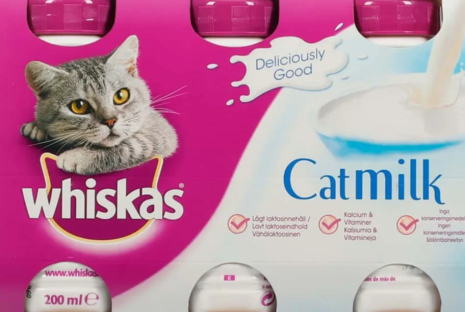Whiskas® Catmilk 3x200ml