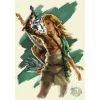 Zelda Tears of The Kingdom Link Unleashed plakat